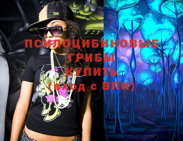 ПСИЛОЦИБИНОВЫЕ ГРИБЫ Чекалин