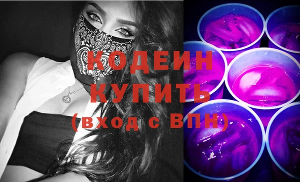 крисы Верхний Тагил