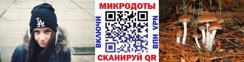 Псилоцибиновые грибы Psilocybe  ссылка на мегу ССЫЛКА  Северск 
