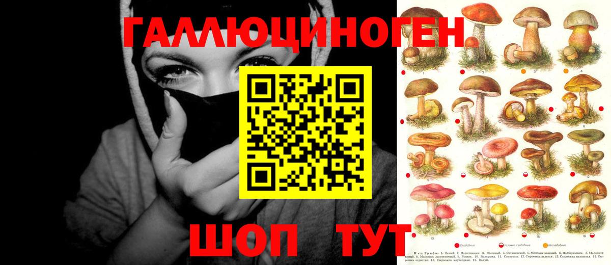 Галлюциногенные грибы мицелий  Северск 