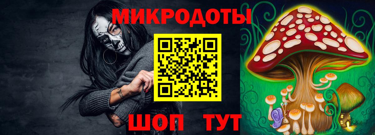 Северск  Псилоцибиновые грибы прущие грибы  Вход с VPN 
